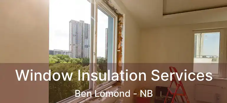  Window Insulation Services Ben Lomond - NB