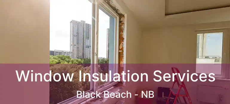  Window Insulation Services Black Beach - NB