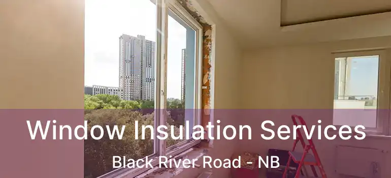  Window Insulation Services Black River Road - NB