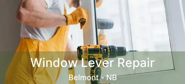  Window Lever Repair Belmont - NB