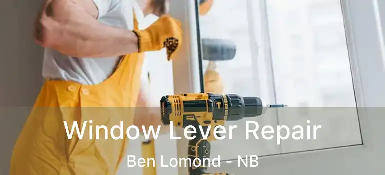  Window Lever Repair Ben Lomond - NB