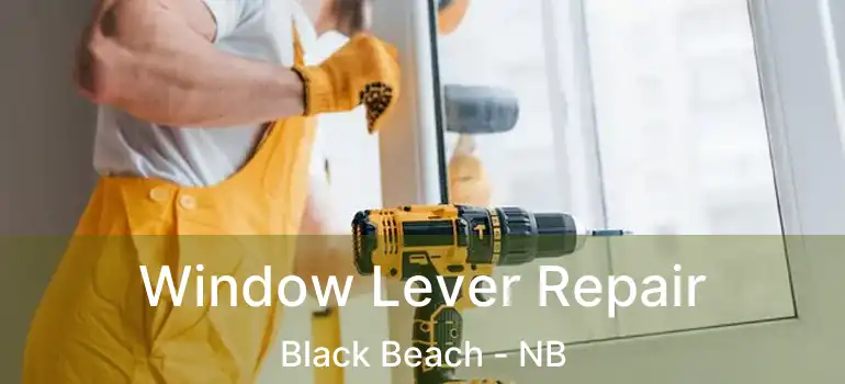  Window Lever Repair Black Beach - NB