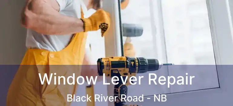  Window Lever Repair Black River Road - NB