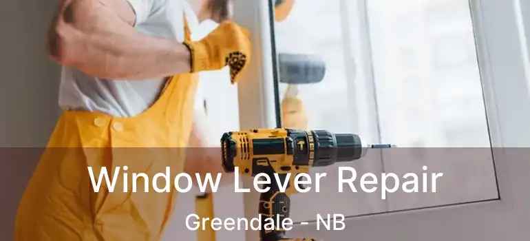  Window Lever Repair Greendale - NB