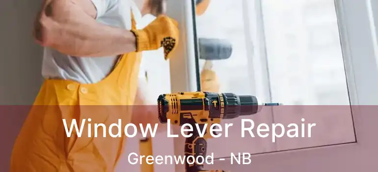  Window Lever Repair Greenwood - NB
