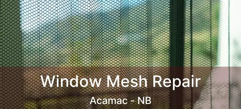  Window Mesh Repair Acamac - NB