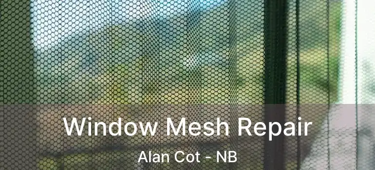  Window Mesh Repair Alan Cot - NB