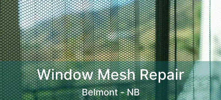  Window Mesh Repair Belmont - NB