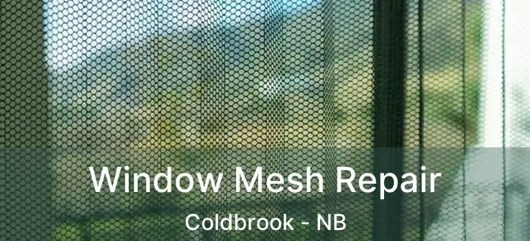  Window Mesh Repair Coldbrook - NB
