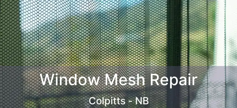  Window Mesh Repair Colpitts - NB