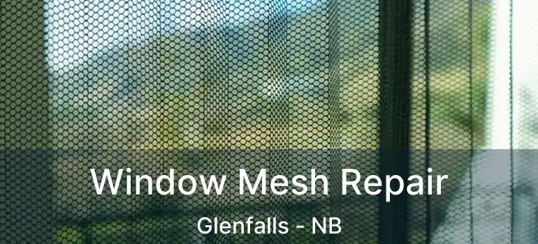  Window Mesh Repair Glenfalls - NB