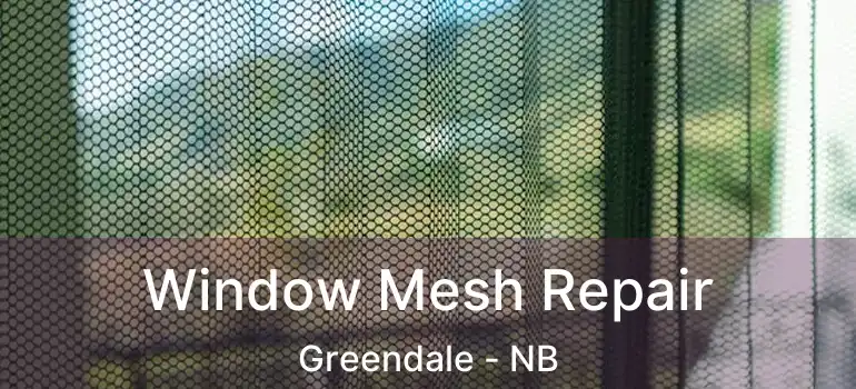  Window Mesh Repair Greendale - NB