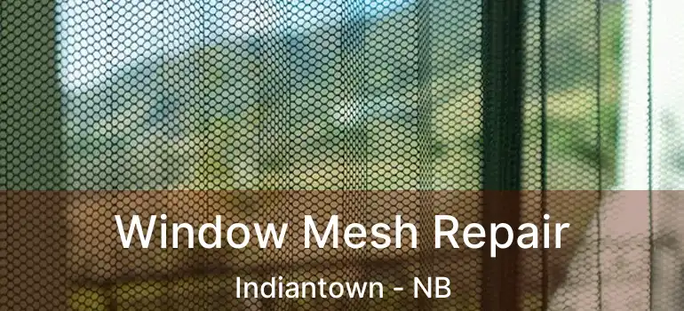  Window Mesh Repair Indiantown - NB