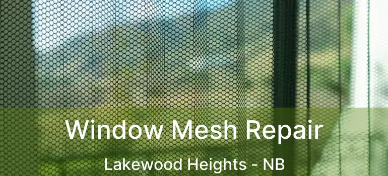 Window Mesh Repair Lakewood Heights - NB