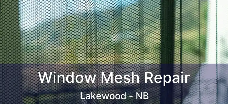  Window Mesh Repair Lakewood - NB