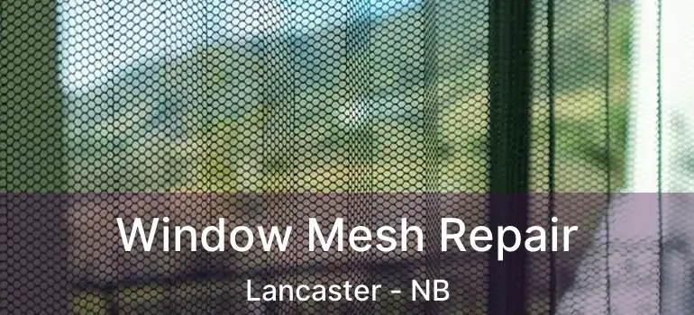  Window Mesh Repair Lancaster - NB