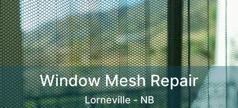  Window Mesh Repair Lorneville - NB