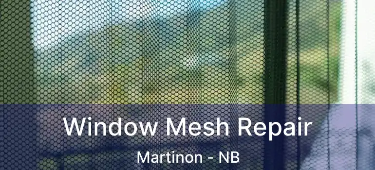  Window Mesh Repair Martinon - NB