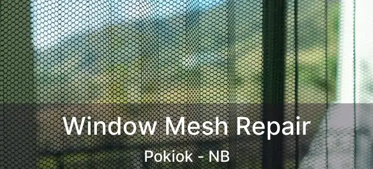  Window Mesh Repair Pokiok - NB