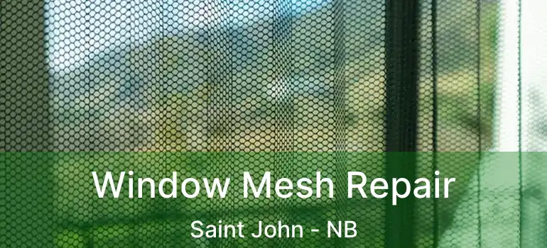  Window Mesh Repair Saint John - NB