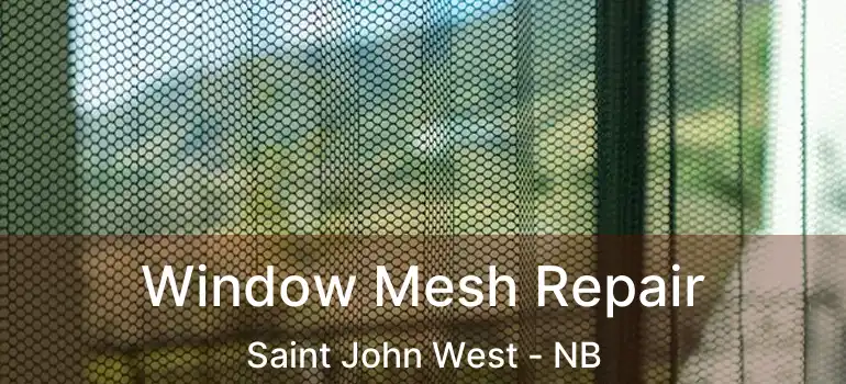 Window Mesh Repair Saint John West - NB