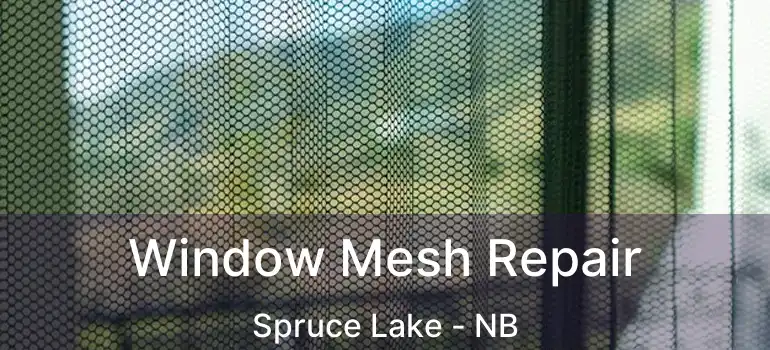  Window Mesh Repair Spruce Lake - NB