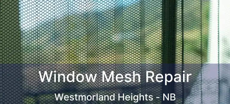  Window Mesh Repair Westmorland Heights - NB