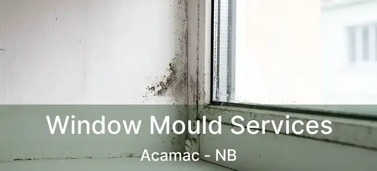  Window Mould Services Acamac - NB