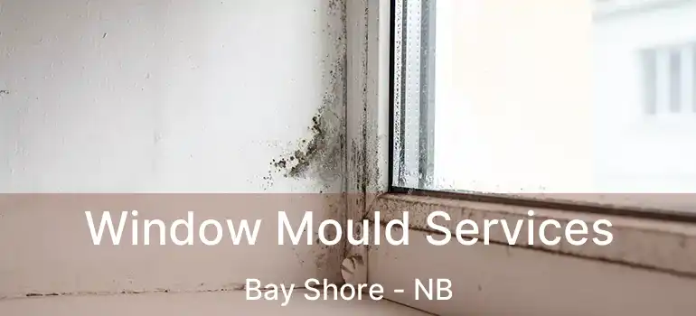  Window Mould Services Bay Shore - NB