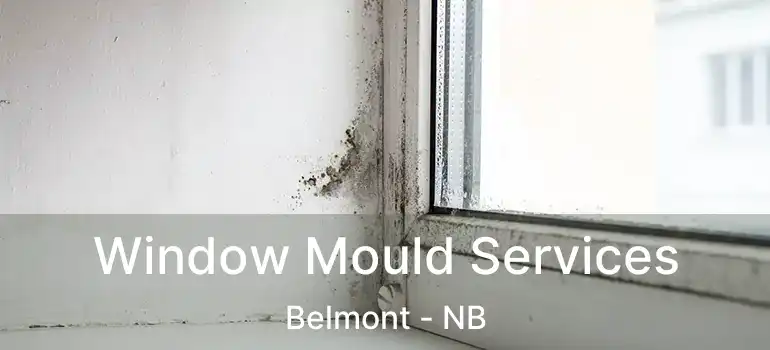  Window Mould Services Belmont - NB