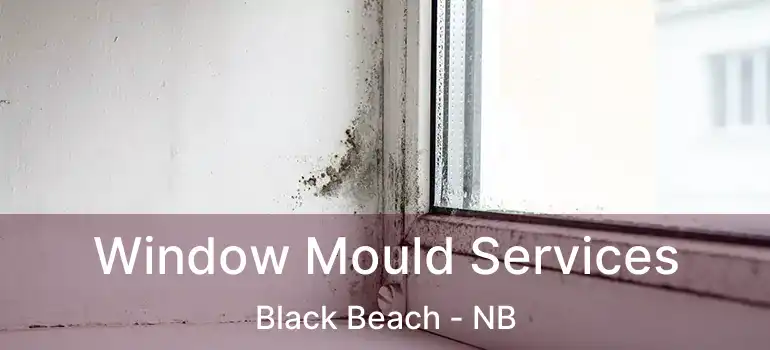  Window Mould Services Black Beach - NB
