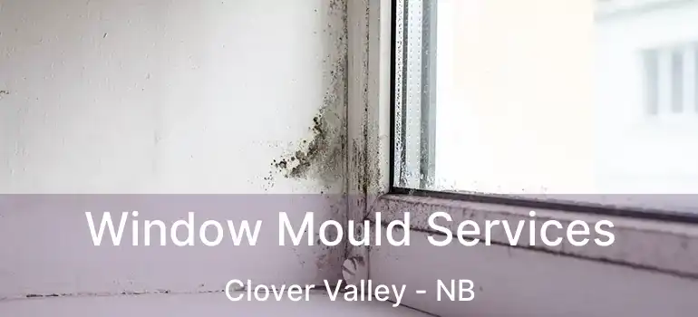  Window Mould Services Clover Valley - NB