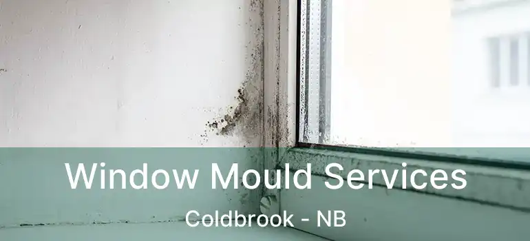  Window Mould Services Coldbrook - NB