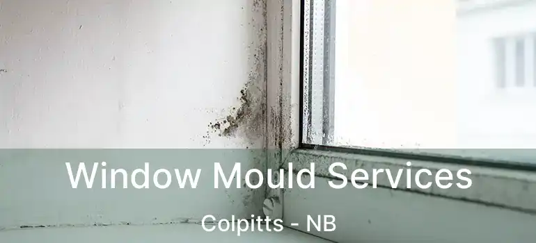  Window Mould Services Colpitts - NB