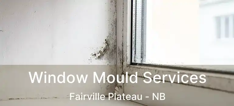  Window Mould Services Fairville Plateau - NB