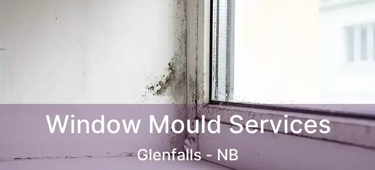  Window Mould Services Glenfalls - NB