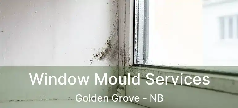  Window Mould Services Golden Grove - NB