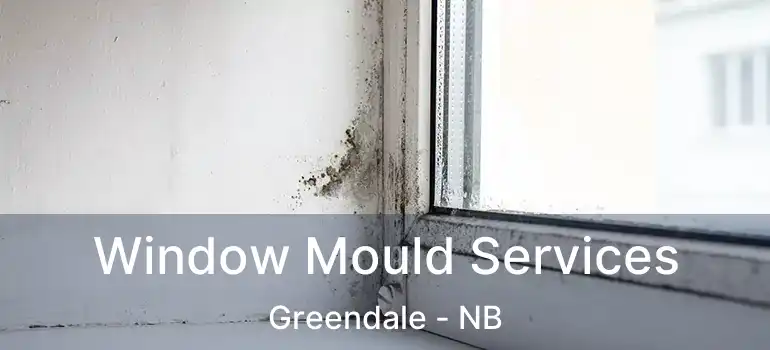  Window Mould Services Greendale - NB