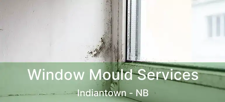  Window Mould Services Indiantown - NB