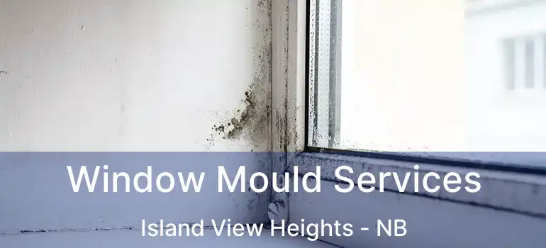  Window Mould Services Island View Heights - NB