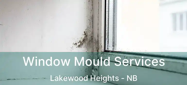  Window Mould Services Lakewood Heights - NB