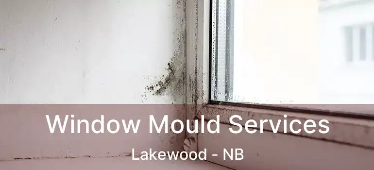  Window Mould Services Lakewood - NB