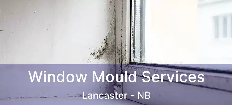  Window Mould Services Lancaster - NB