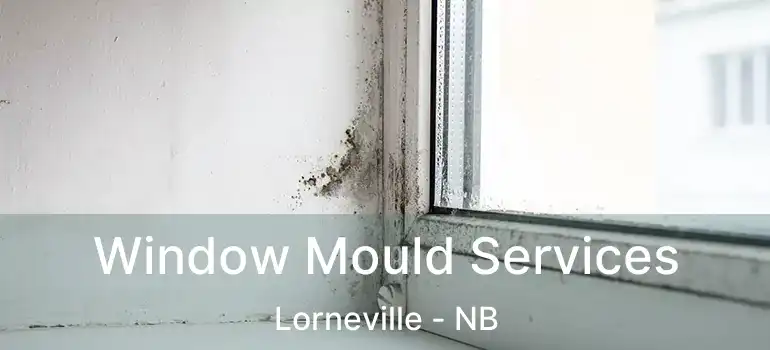  Window Mould Services Lorneville - NB