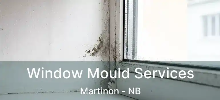  Window Mould Services Martinon - NB