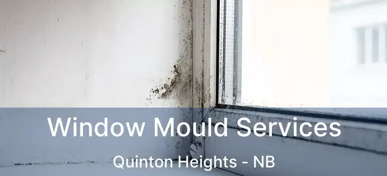  Window Mould Services Quinton Heights - NB