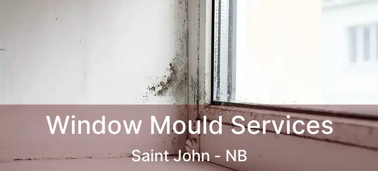  Window Mould Services Saint John - NB
