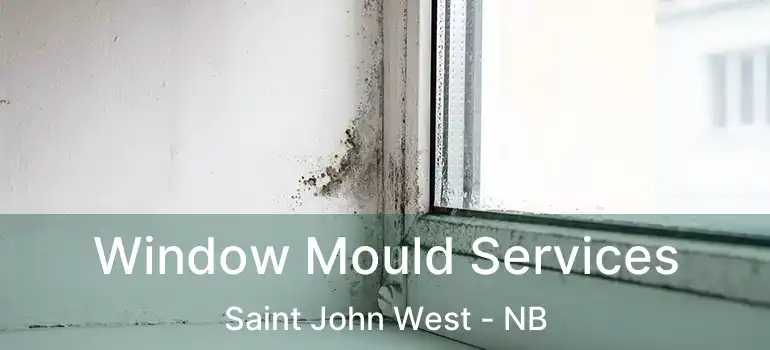  Window Mould Services Saint John West - NB