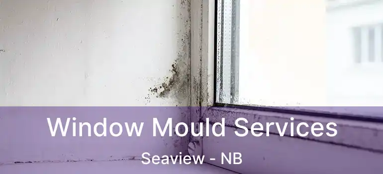  Window Mould Services Seaview - NB