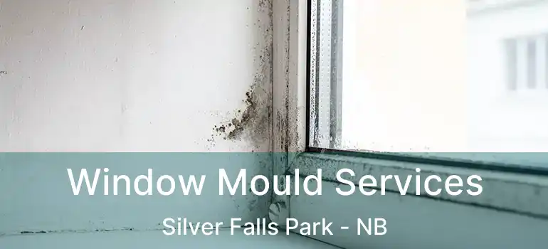  Window Mould Services Silver Falls Park - NB
